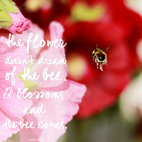 beeinflight