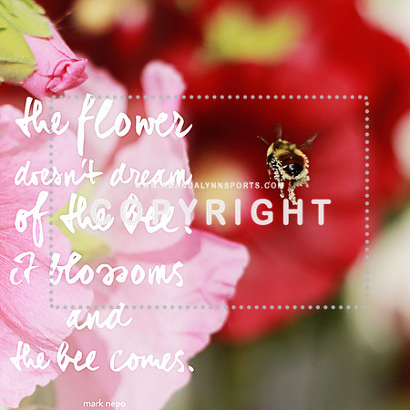 beeinflight